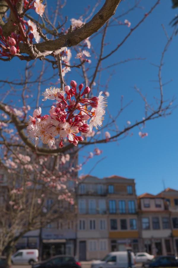 Burgo Apartments Republica Porto Luaran gambar